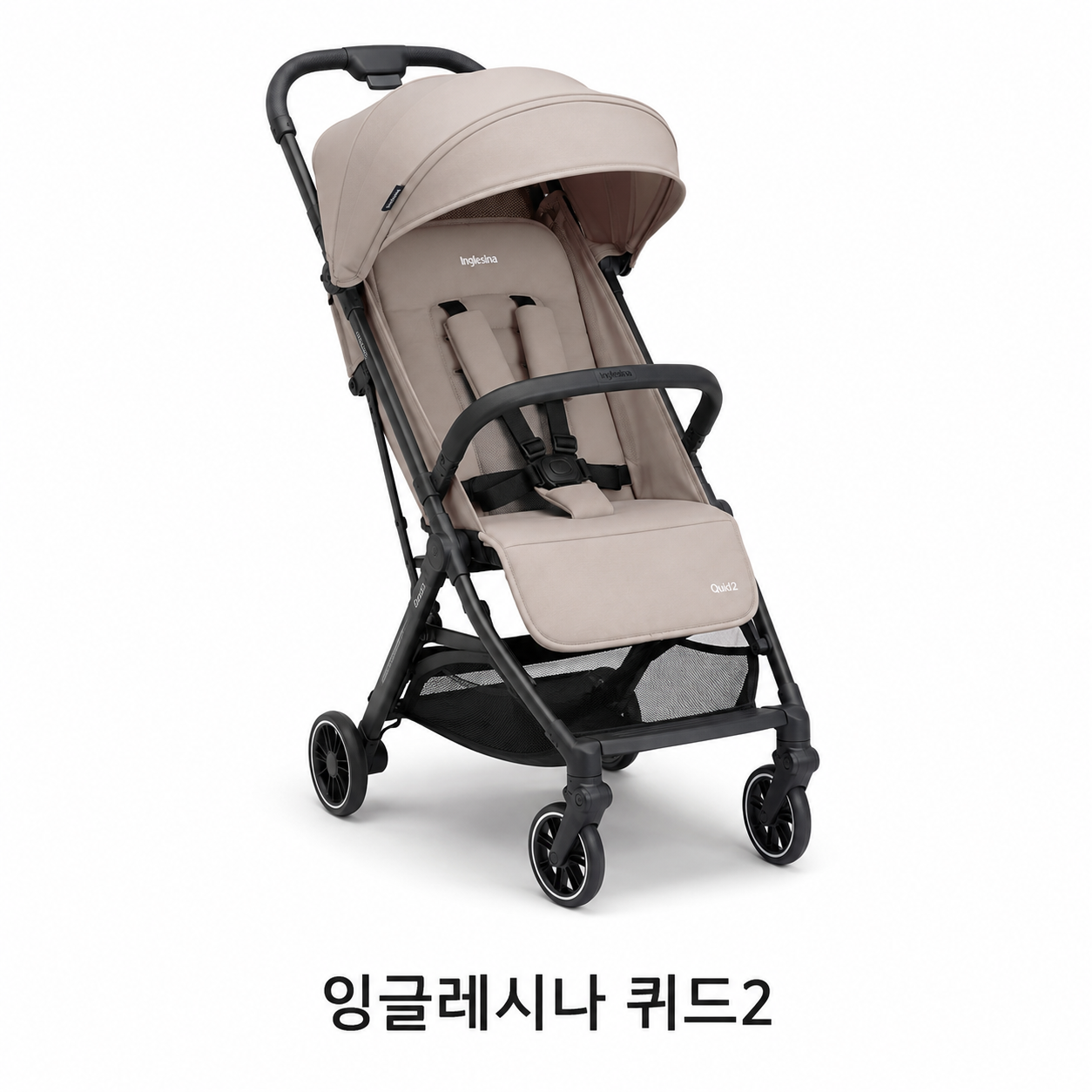 잉글레시나 퀴드2