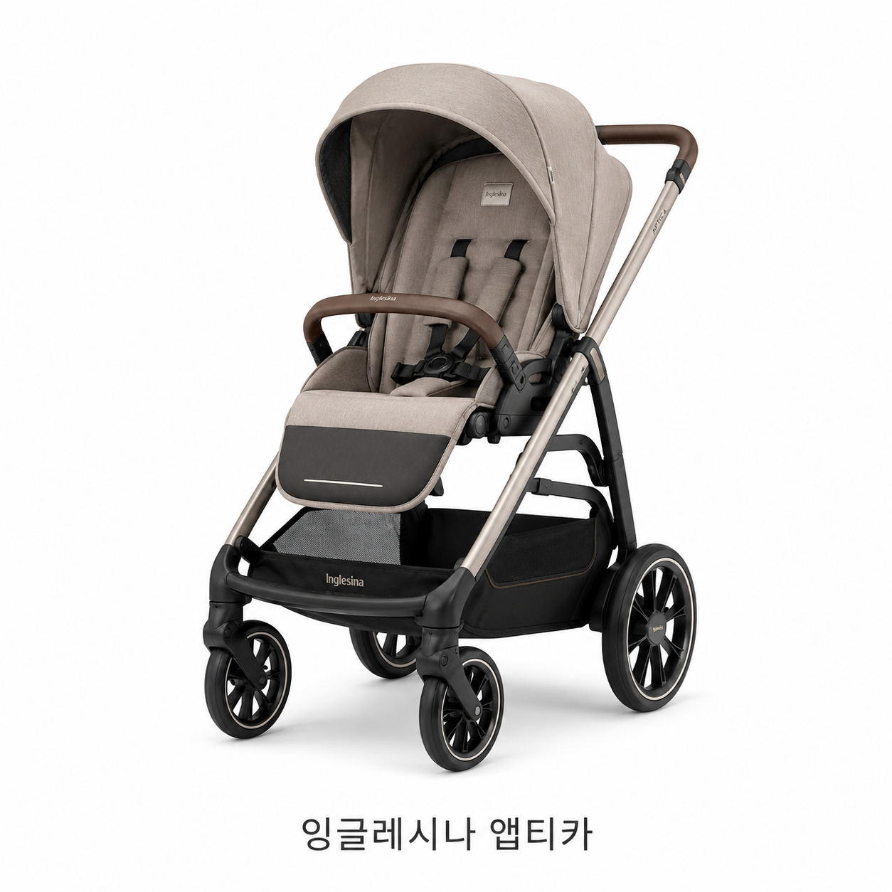 잉글레시나 앱티카