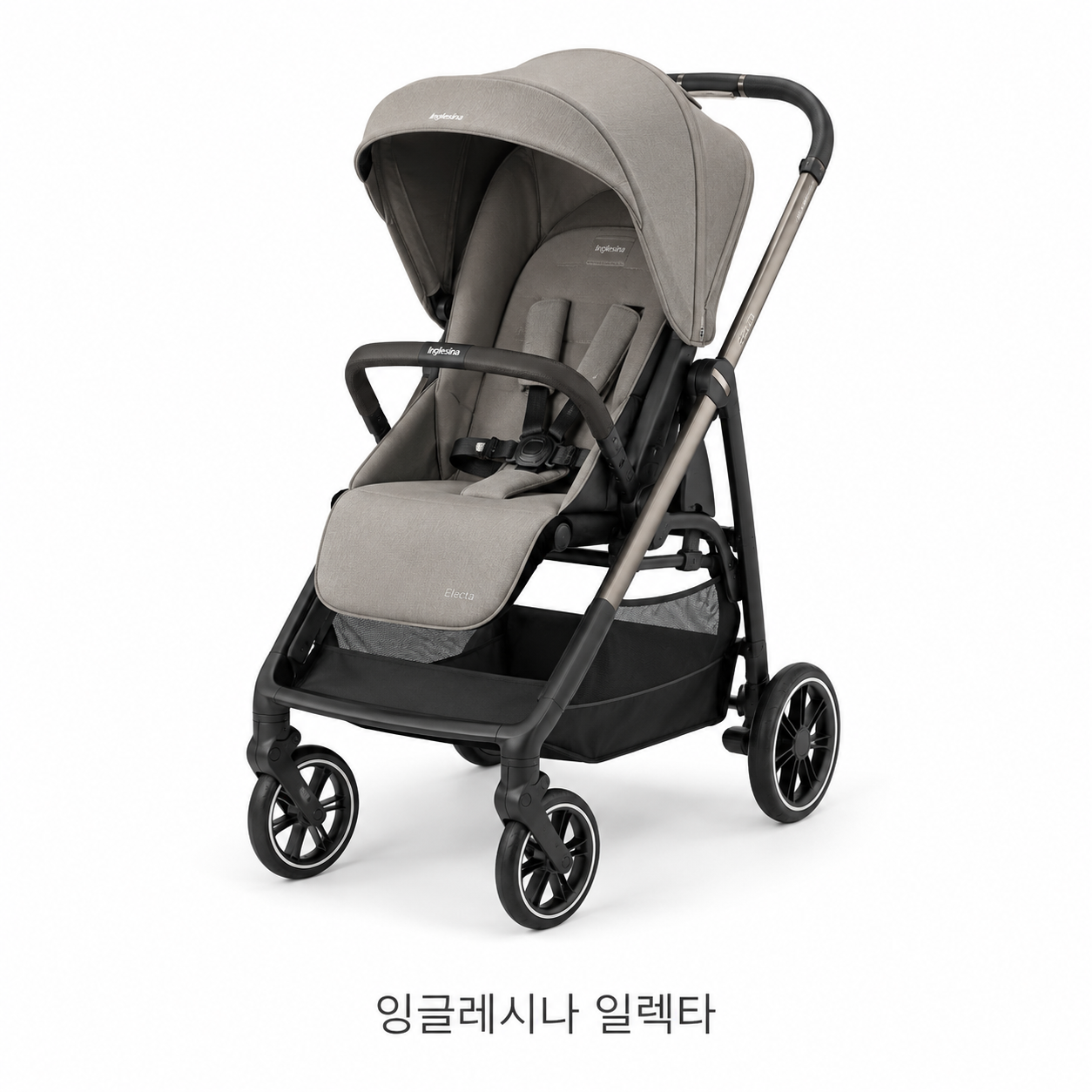 잉글레시나 일렉타