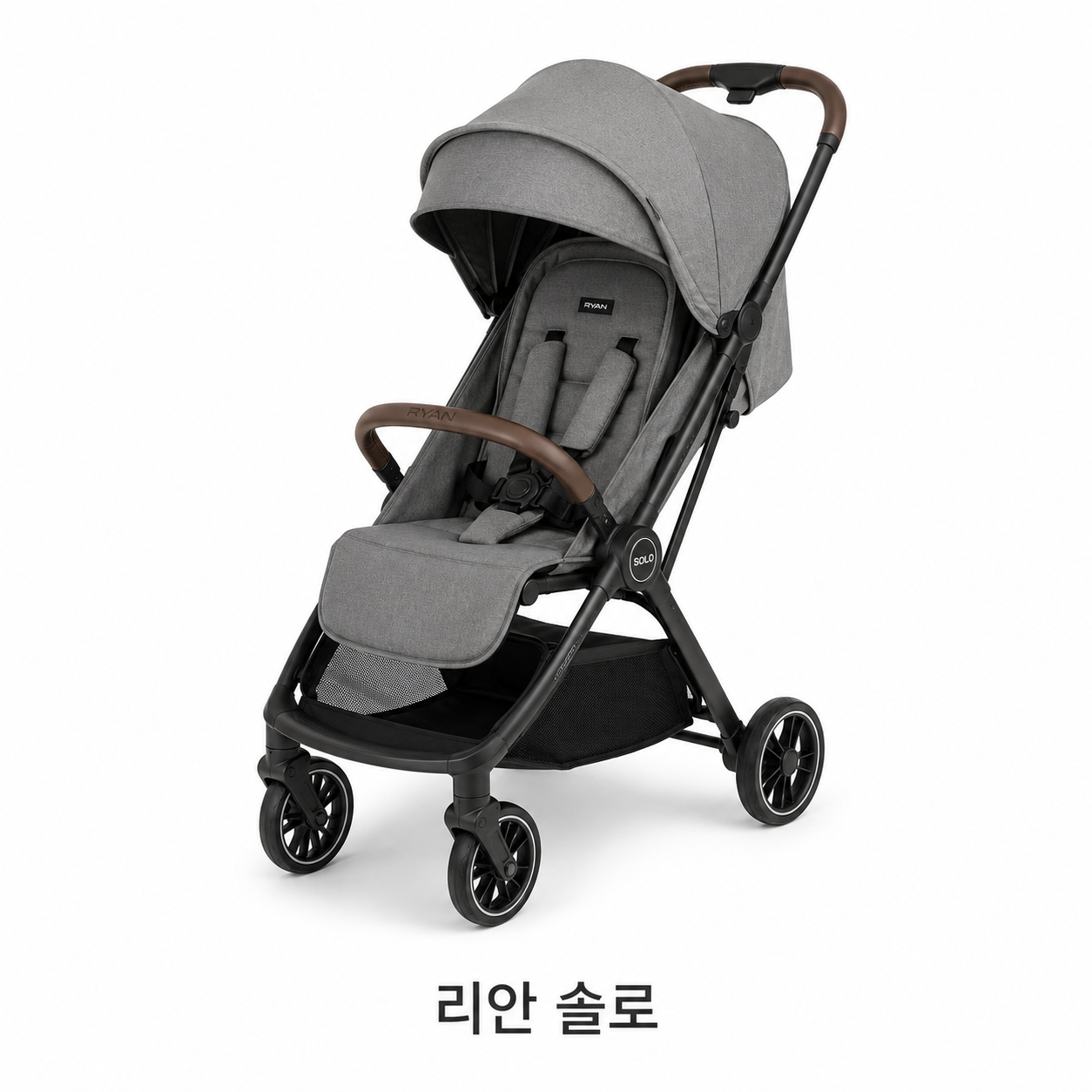 리안 솔로