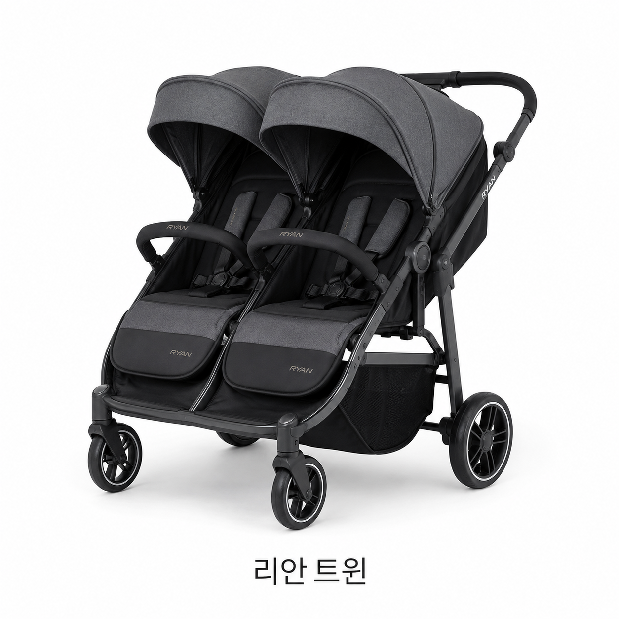 리안 트윈