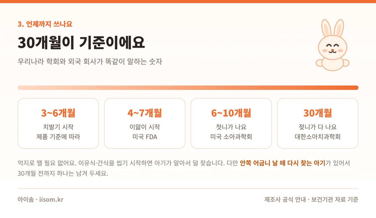 치발기 사용시기 월령별 흐름