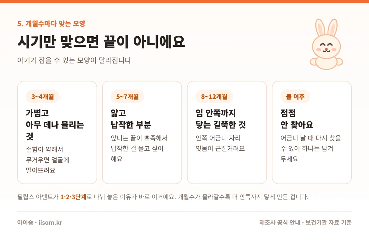 치발기 사용시기 월령별 형태